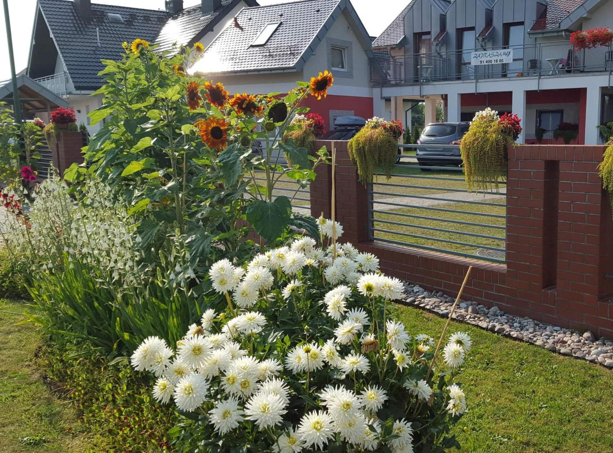 Frajda Dom Wypoczynkowy Rewal Exterior foto